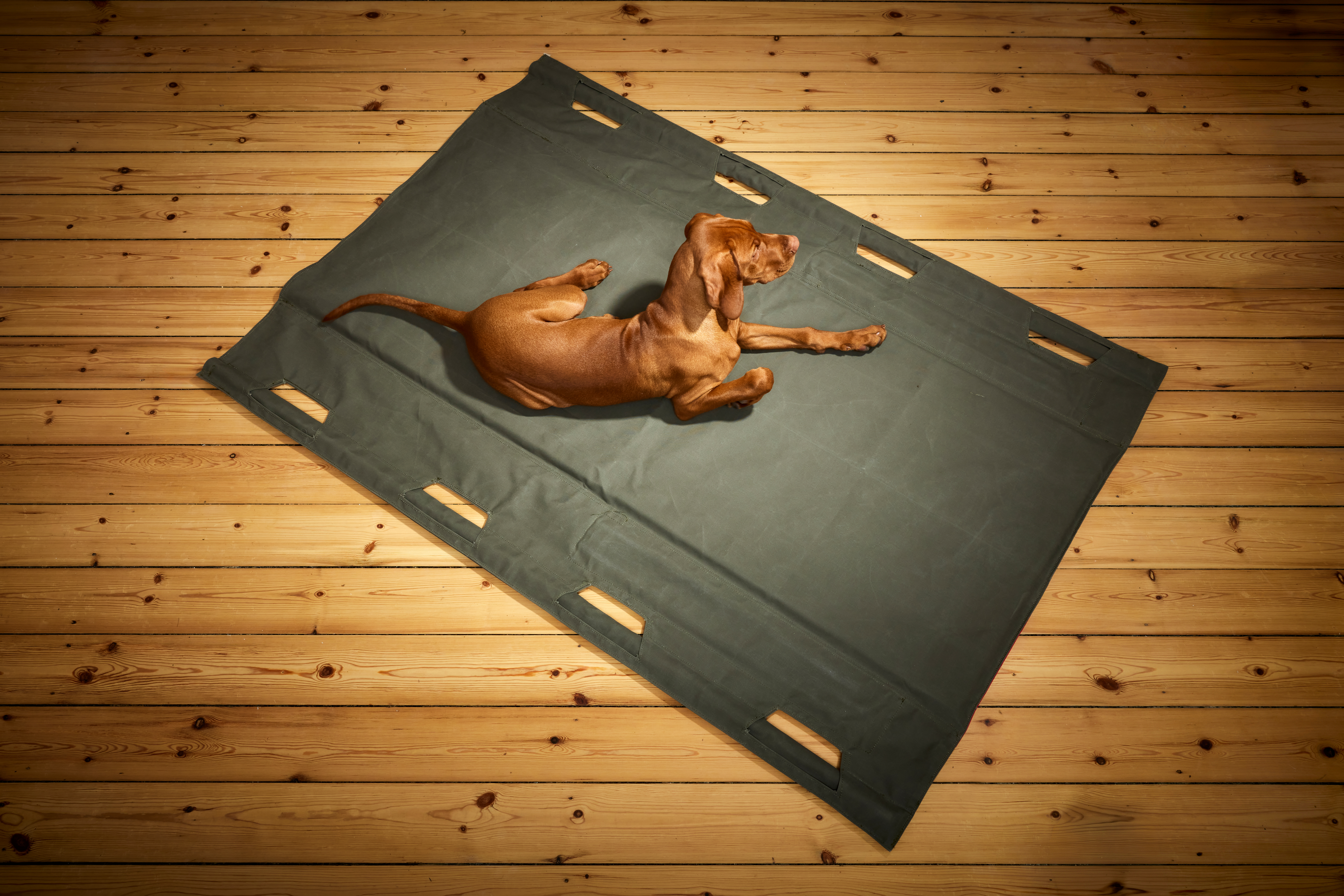 Small animal handling RUG (120x150cm)
With aluminum carry handles and removable foam insulation